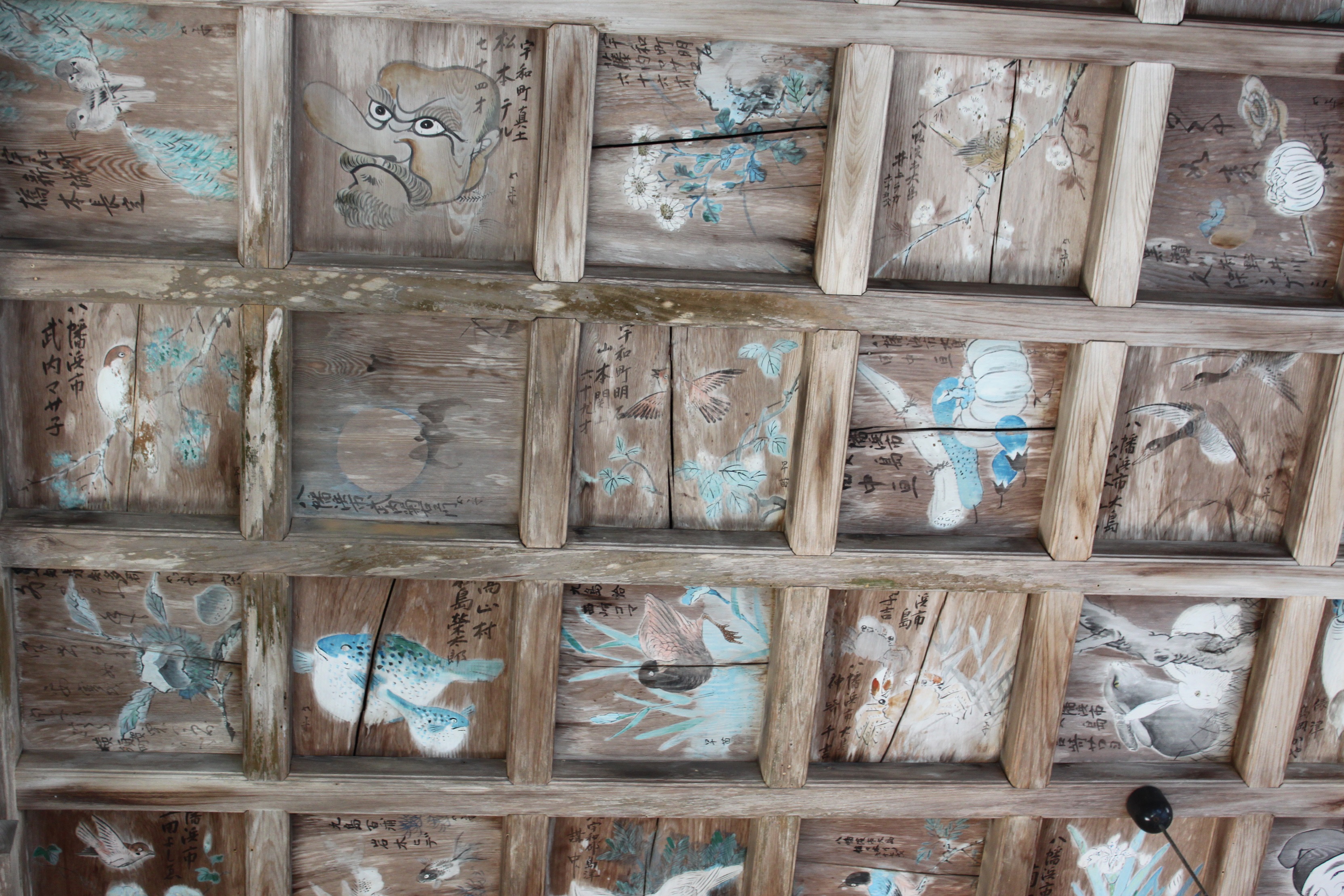 明石寺の天井画