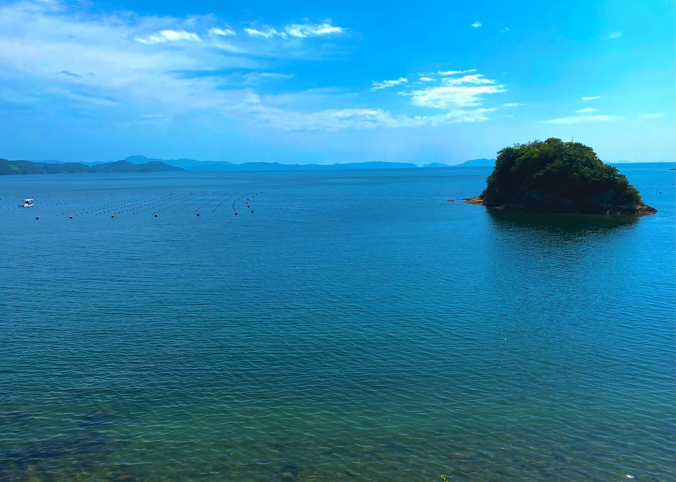 長浦島