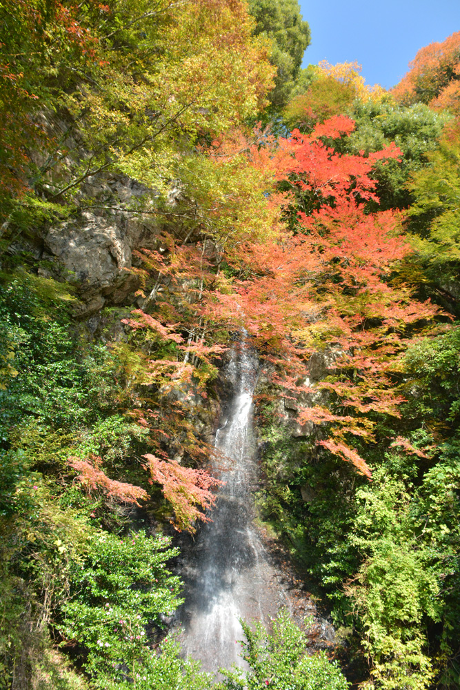 樽の滝と紅葉