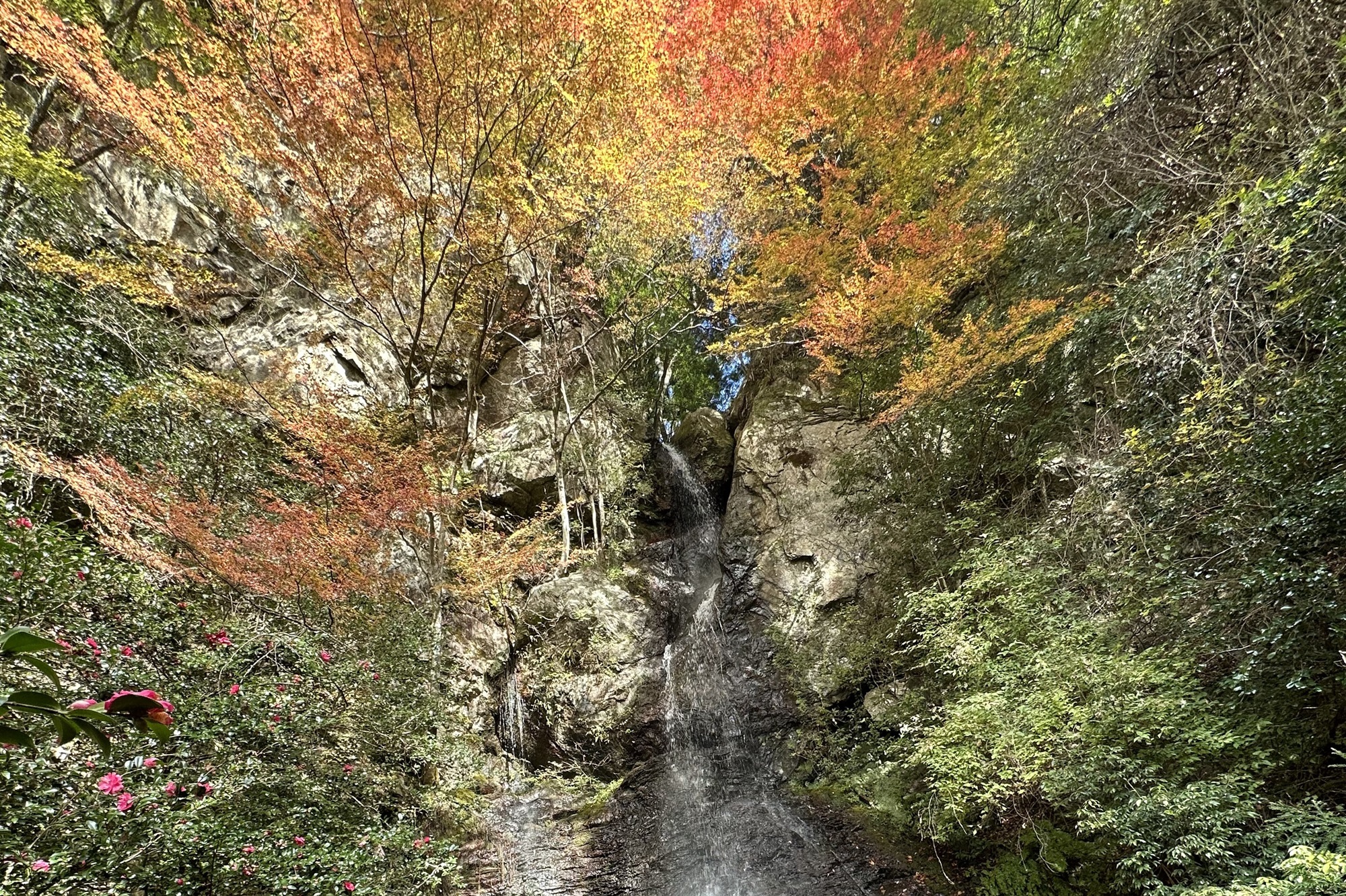 樽の滝と紅葉