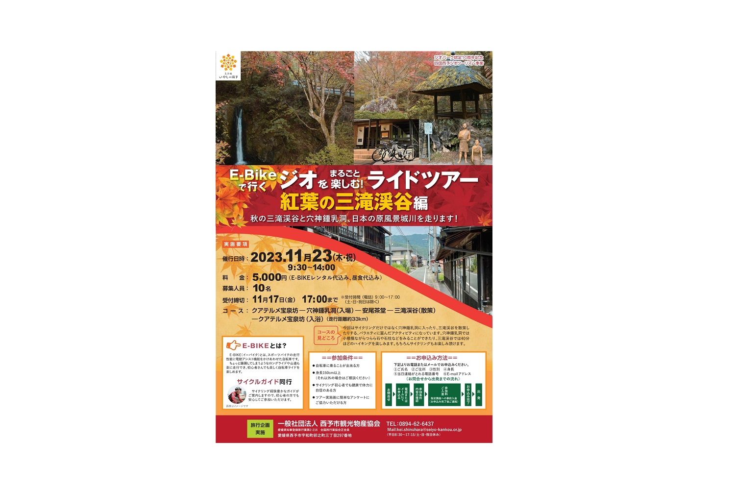 チラシ