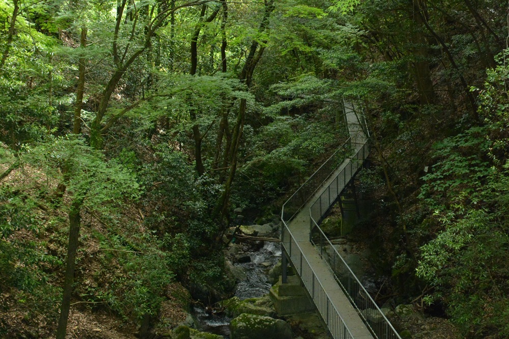 三滝渓谷の歩道