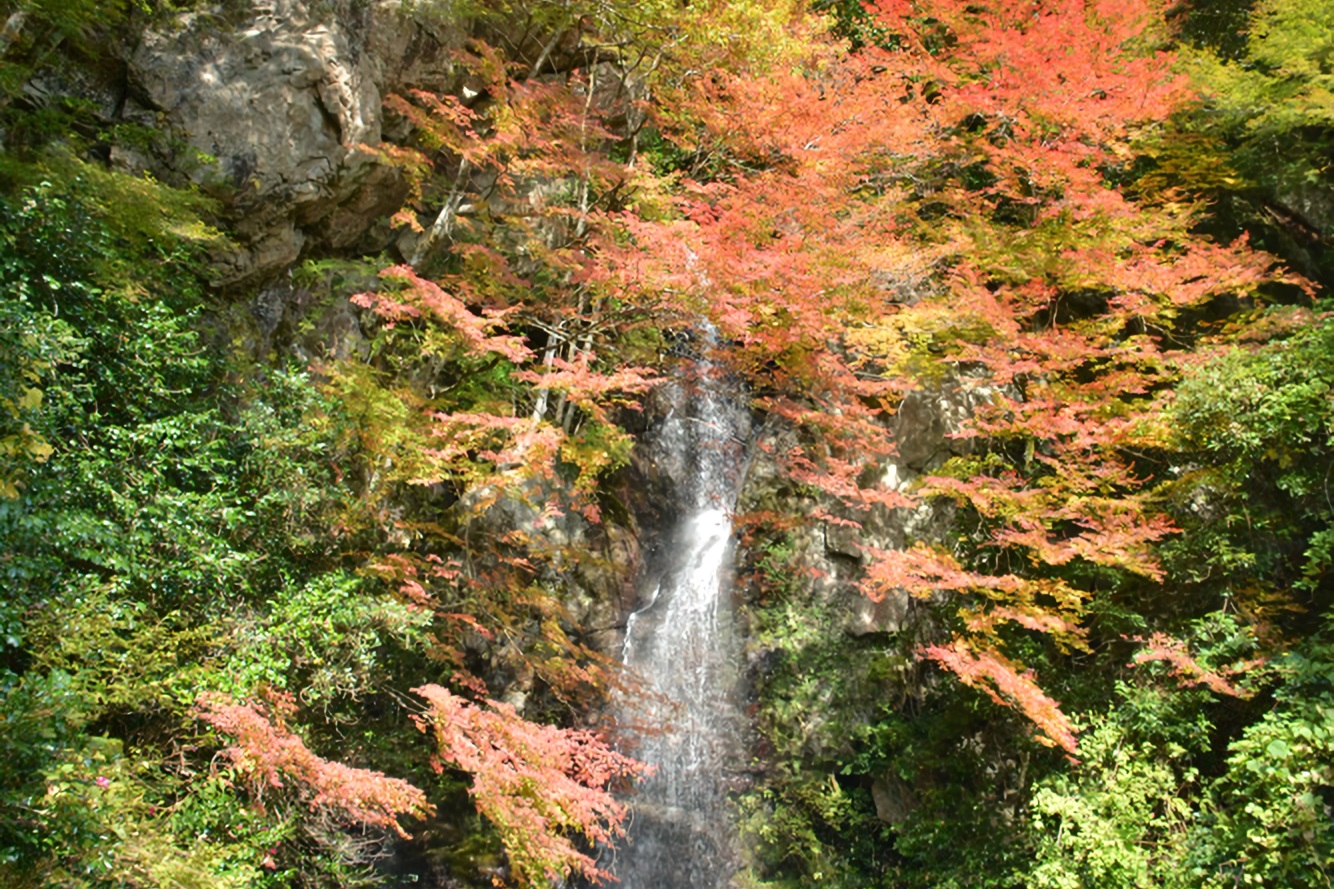 紅葉の樽の滝と三滝渓谷編