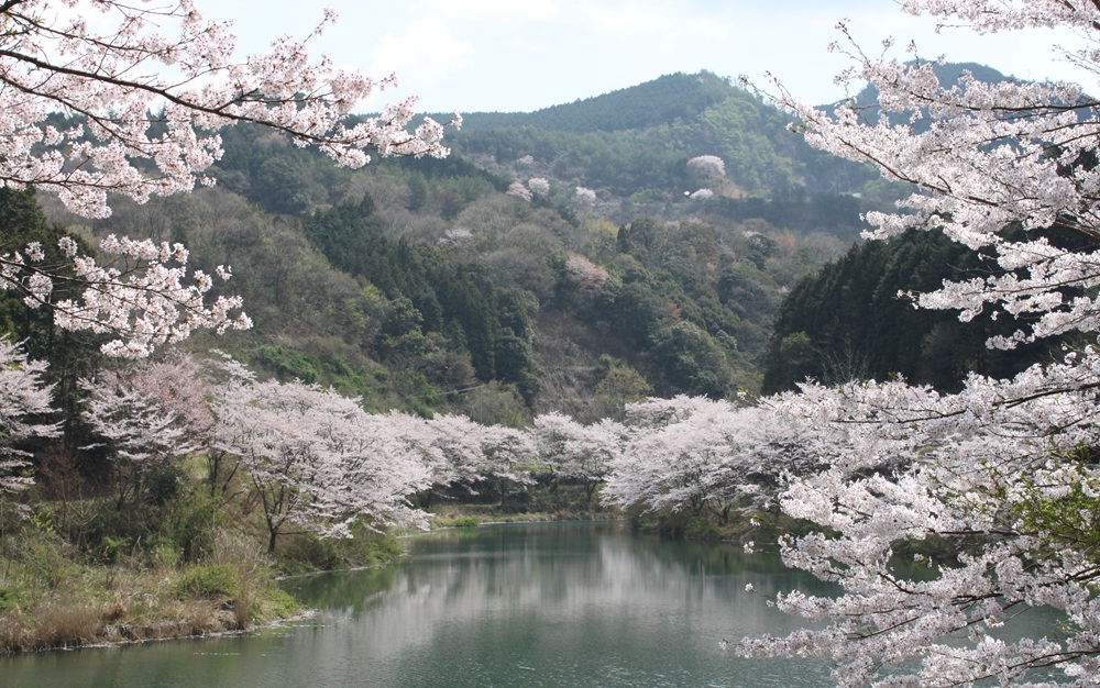 桂川渓谷