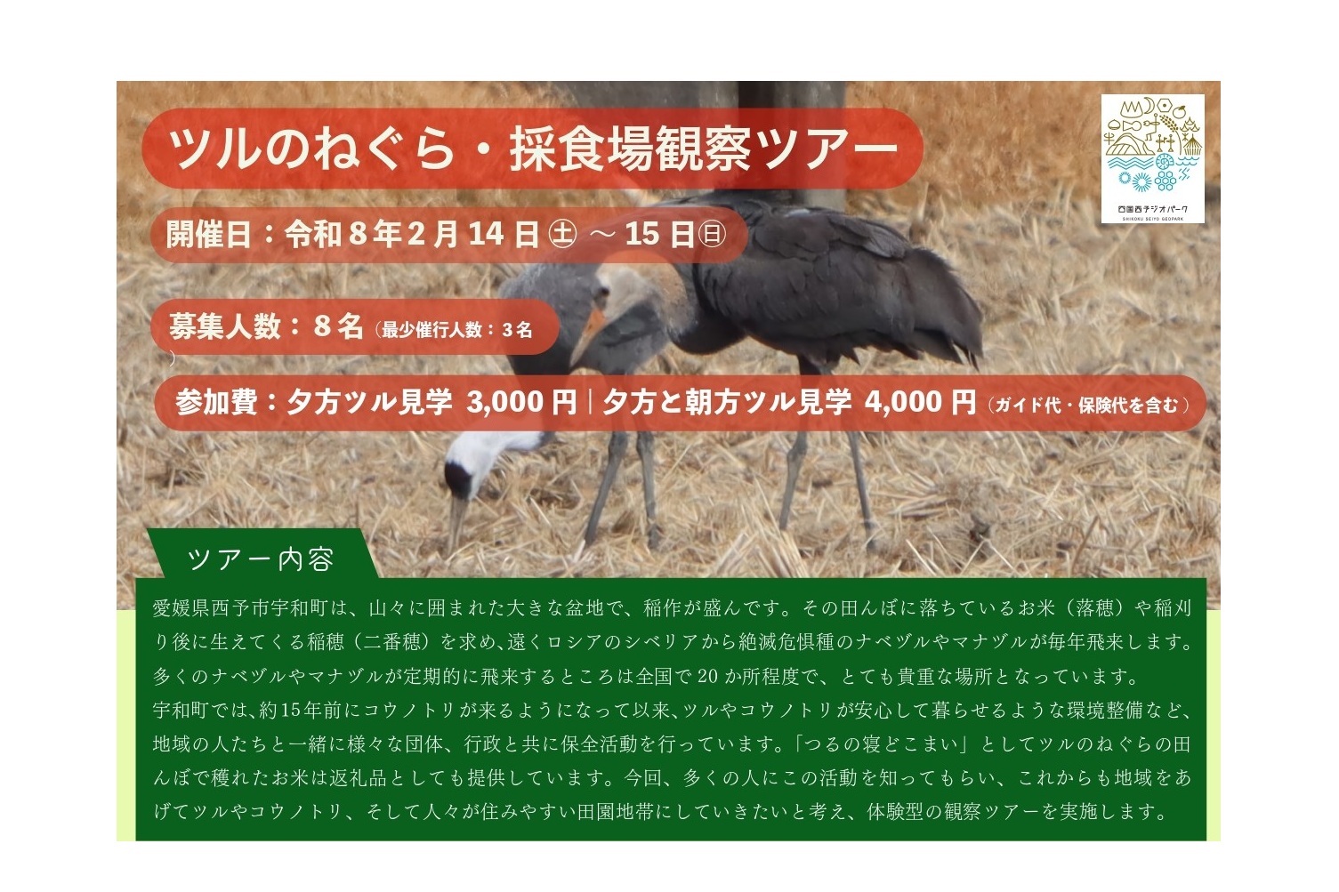 ツルのねぐら・採食場観察ツアー