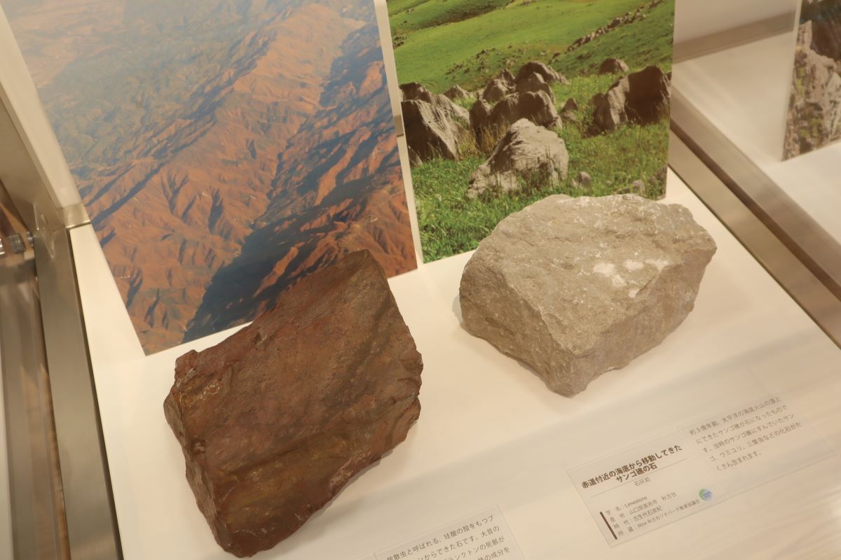 ジオパーク巡回展「地球時間の旅」