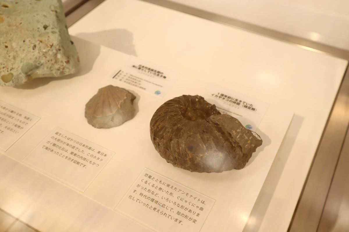 ジオパーク巡回展「地球時間の旅」