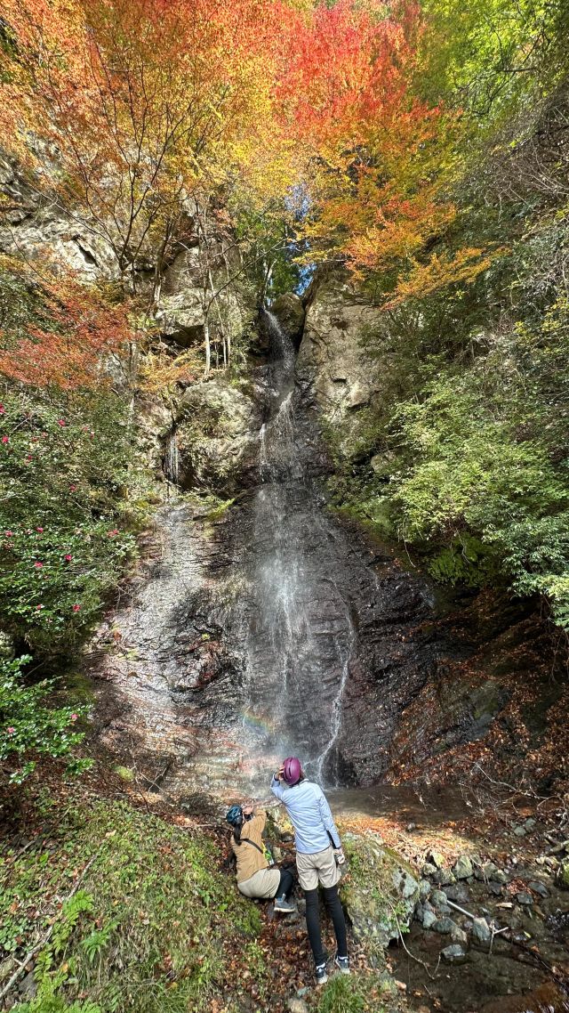 紅葉に囲まれる「樽の滝」
 
県道267号線を野井川沿いに、20分程走ると竜泉地区へ。
そこからさらに走ると、三叉路があるので左折（雨包山方面）し、5分程走ると右手道路沿い「樽の滝」があります。
 
📍#樽の滝
 
#せいよじかん　をつけて投稿いただくと、その中から素敵な写真をリポストします。
 
#せいよじかん#愛媛#西予市#せいよ#城川#紅葉#滝#里の力也#四国西予ジオパーク#サイクリング好きな人と繋がりたい#紅葉好きな人と繋がりたい#栗#田舎の風景#明浜町#グルメ#愛媛旅行#女子旅#旅女#西予市観光物産協会#いいやん西予
#seiyo#setouchi#shikokucameraclub#instagood#travelphotography#landscape#lovers_nippon