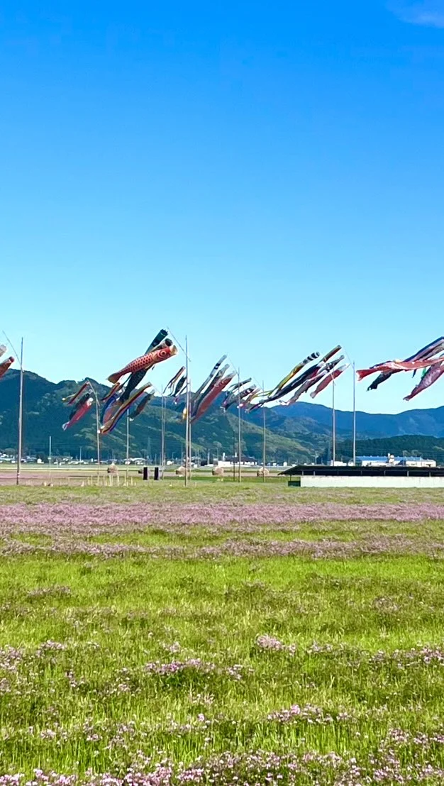 令和7年4月29日（火曜日）「れんげまつり」が開催されます。
 
会場に大きな鯉のぼりが泳いでました。

今年は天気も良さそうです。
 
是非、皆さん「れんげまつり」に遊びに来てください。
 
📍#わらマンモスとわらぐろ群
 
 
#せいよじかん　をつけて投稿いただくと、その中から素敵な写真をリポストします。
 
#せいよじかん#愛媛#西予市#せいよ#宇和町#れんげ#れんげまつり#わらマンモス#田んぼ#鯉のぼり#カメラ好きな人と繋がりたい#祭り好きな人と繋がりたい#旅したくなるフォト#女子旅#旅女#四国旅行#愛媛旅行#絶景スポット#ダレカニミセタイケシキ#西予市観光物産協会#いいやん西予
#seiyo#setouchi#shikokucameraclub#instagood#travelphotography#landscape#lovers_nippon